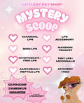 LPS MYSTERY SCOOP